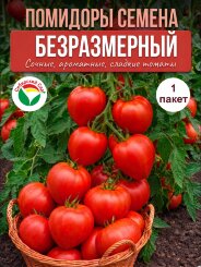Томат Безразмерный Томат Безразмерный