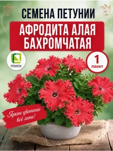 Петуния бахромчатая Афродита алая