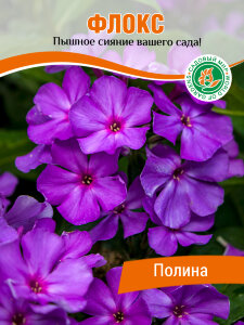 Флокс Полина Флокс Полина