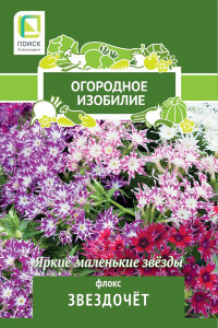 Флокс Звездочет Флокс Звездочет