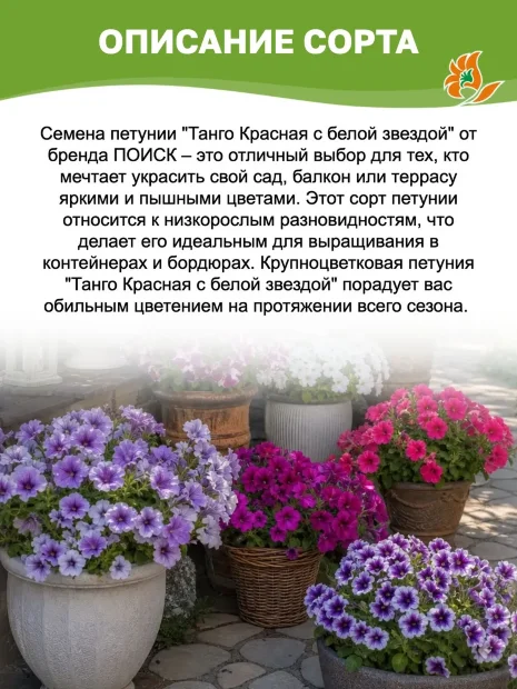 Петуния крупноцветковая Танго Красная с белой звездой (ПРОФИ) семена