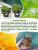 Примула Юлии, случайный цвет