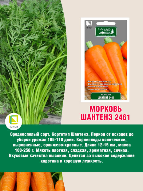 Морковь Шантенэ 2461 семена 