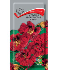 Настурция Махагони (низкорослая) Настурция Махагони (низкорослая)