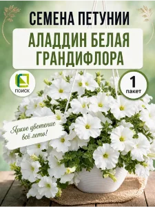 Петуния грандифлора Аладдин Белая