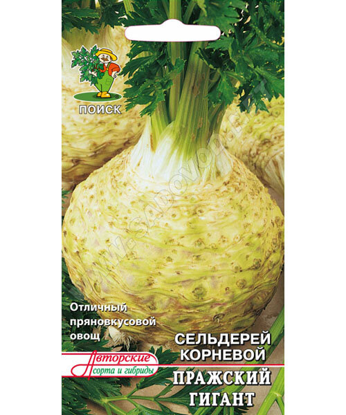 Сельдерей Пражский Гигант (корневой) семена 