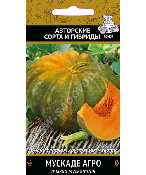 Тыква Мускаде Агро (мускатная) семена 