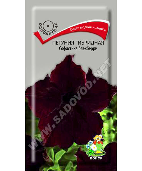 Петуния гибридная Софистика Блэкберри семена
