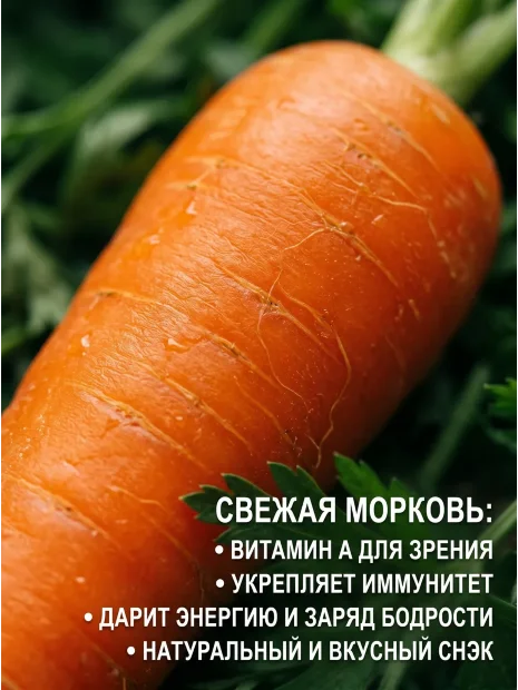 Морковь драже Император семена 