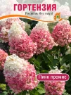 Гортензия Пинк Промис (метельчатая) Гортензия Пинк Промис (метельчатая)