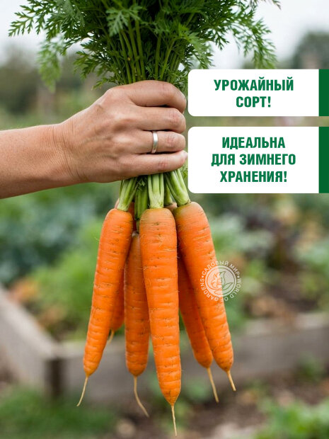 Морковь драже Витаминная 6 семена 