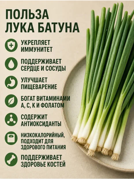 Лук шнитт Мудрец семена 