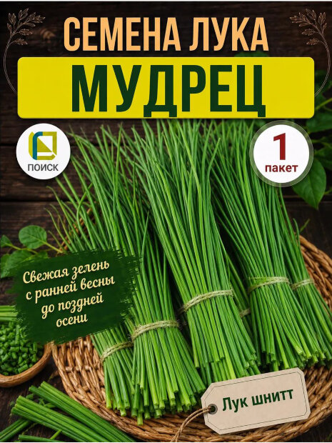 Лук шнитт Мудрец семена 
