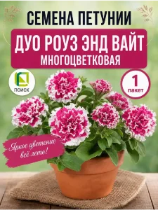 Петуния махровая многоцветковая Дуо Роуз энд Вайт